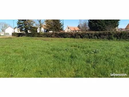 terrain constructible