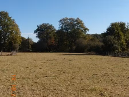 terrain constructible