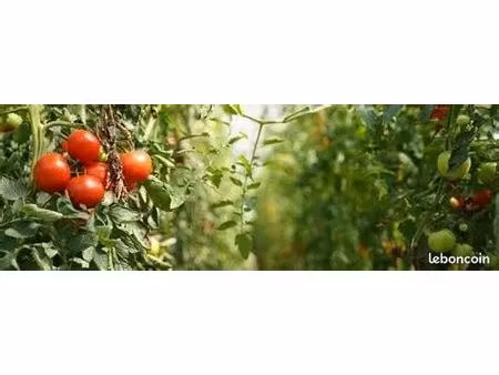 propriétaire de terres autour de dinan ? beau projet agricole cherche 5 à 15 h