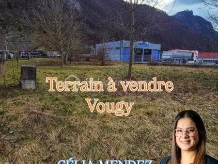 terrain agricole 1 413 m² vougy