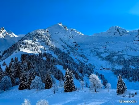 magnifique t3 duplex secteur confins-balme