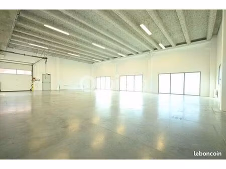 local d'activité 229 m²