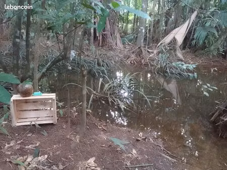terrain entre nature et ville