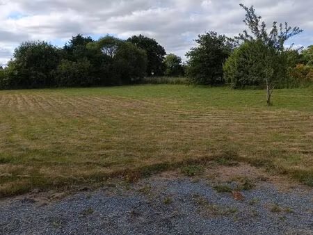 terrain constructible