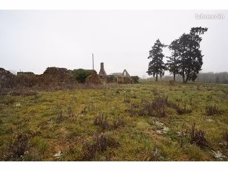 terrain 4000 m² mezieres sous lavardin