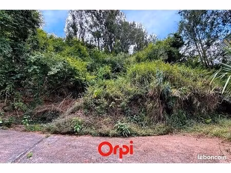 terrain 4 289 m² salazie