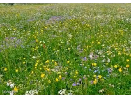 cherche terrain non constructible