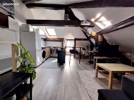 studio 25m² carrez / 50 m² au sol