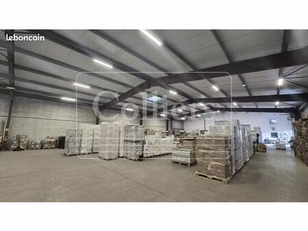 local d'activité 1 040 m²