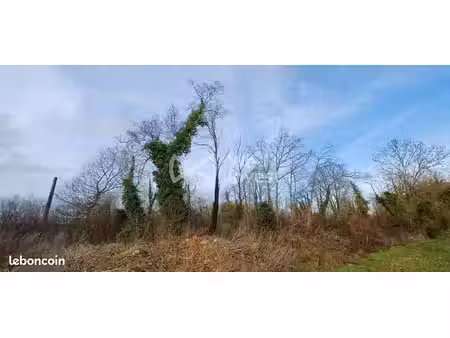 terrain 3734 m² germigny-l'évêque
