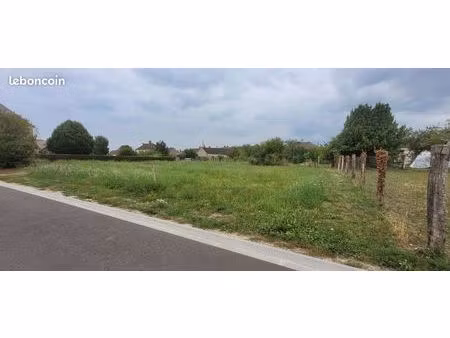 terrain constructible