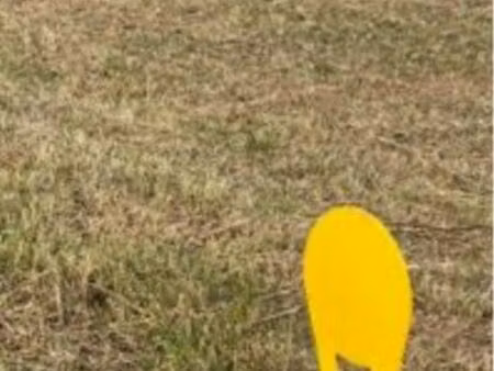 terrain constructible tarn