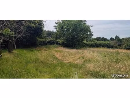 recherche terrain ? à vendre sur thenezay ?