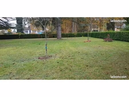 terrain constructible