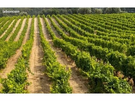 recherche terrain agricole