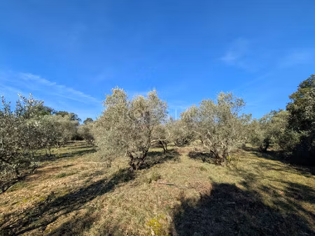 superbe terrain constructible à sauve