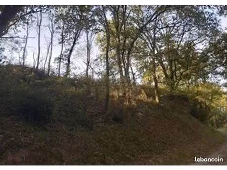 terrain 4 639 m² castres