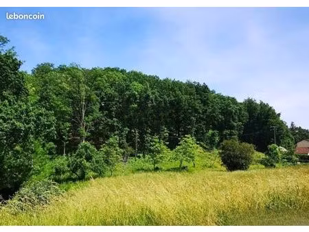 terrain 2 028 m² graulhet