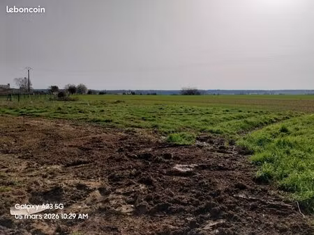 terrain constructible