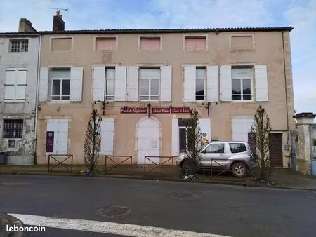 immeuble (1 local commercial  1 maison et 2 appartements)