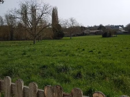 terrain pour chevaux