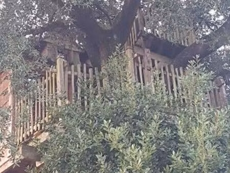 cabane perchée + cuisine  sanitaires  jardin