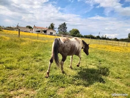 propriété équestre 115m²
