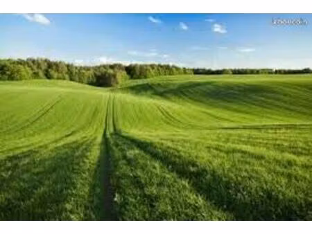 terrain 400 m² pontault combault