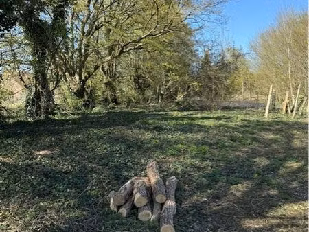 terrain 7000m2 constructible