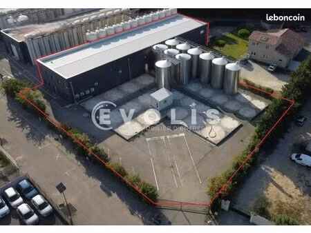 local d'activité 1 034 m²