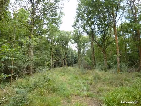 terrain agricole plat à saint baldoph avec chalet cadastré