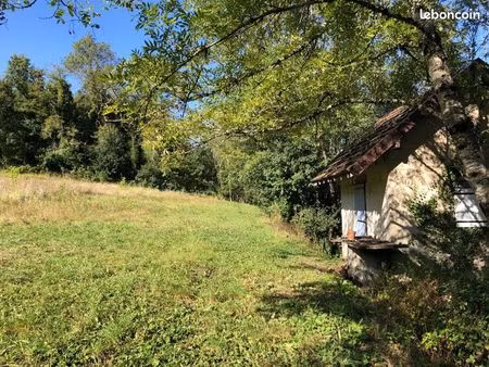 terrain boisé avec prairie