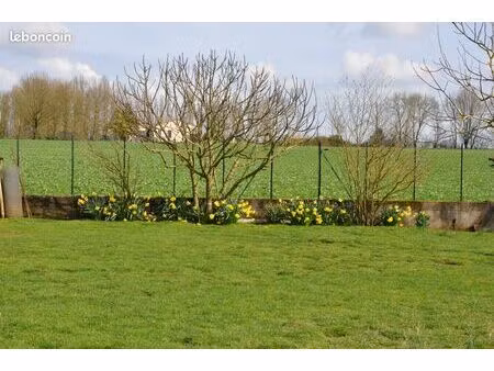 terrain constructible