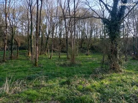 terrain bord de rivière