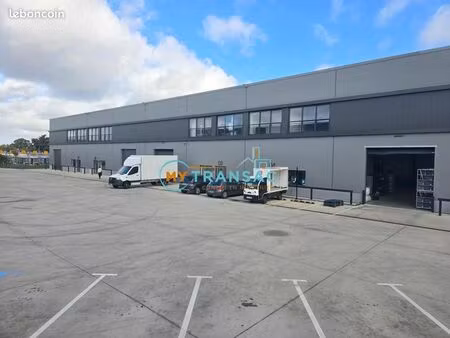 local bureaux 620 m²