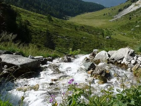 appartement 4 pièces