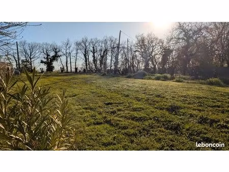 terrain calme à la campagne