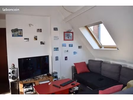 appartement atypique clair et facile a chauffer