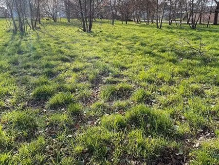 terrain 2006 m2 cu secteur sud montauban