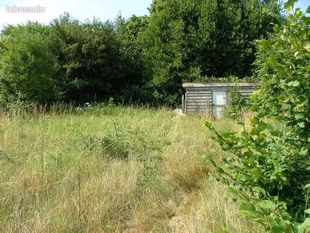 terrain constructible