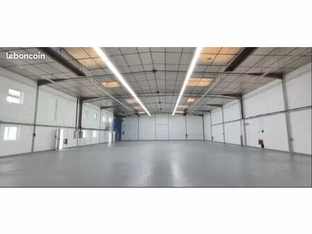 local d'activité 974 m²