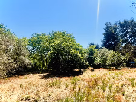 terrain viabilisé 500m2 - libre constructeur