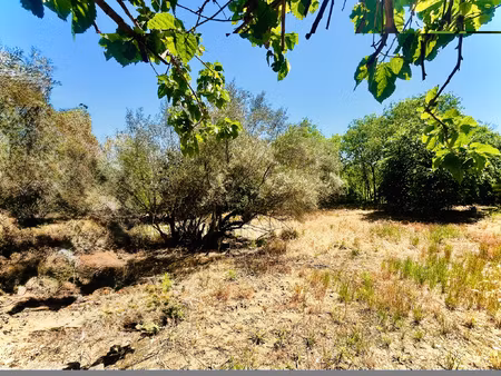 terrain viabilisé 600m2 - libre constructeur