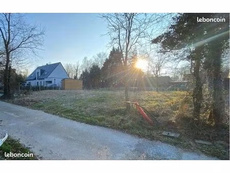 terrain constructible