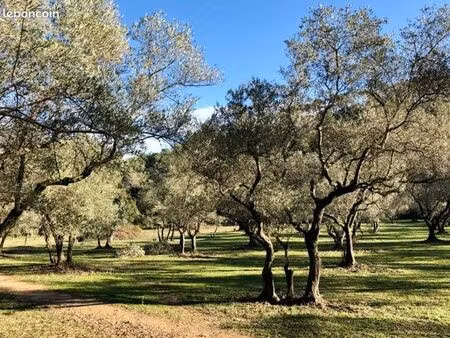 vente terrain constructible saint-marc-jaumegarde
