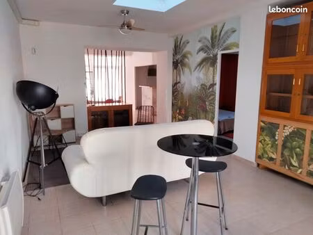 grand appartement rdc