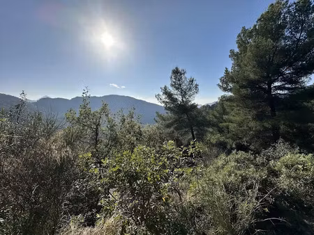 vente terrain à coaraze (06390)  12 900 €