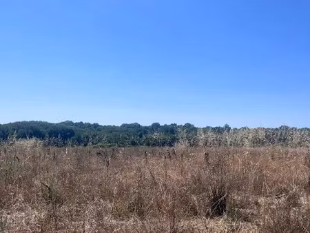 vente terrain 462 m² à meursac (17120)  46 500 €