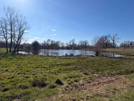 vente terrain à bessines-sur-gartempe (87250)  50 000 €