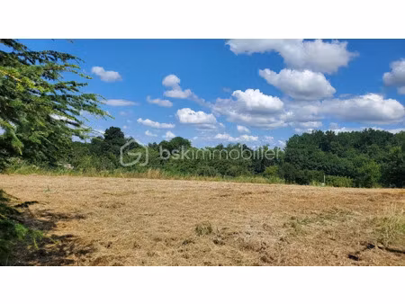 vente terrain 3560 m² à miramont-de-guyenne (47800)  56 500 €
